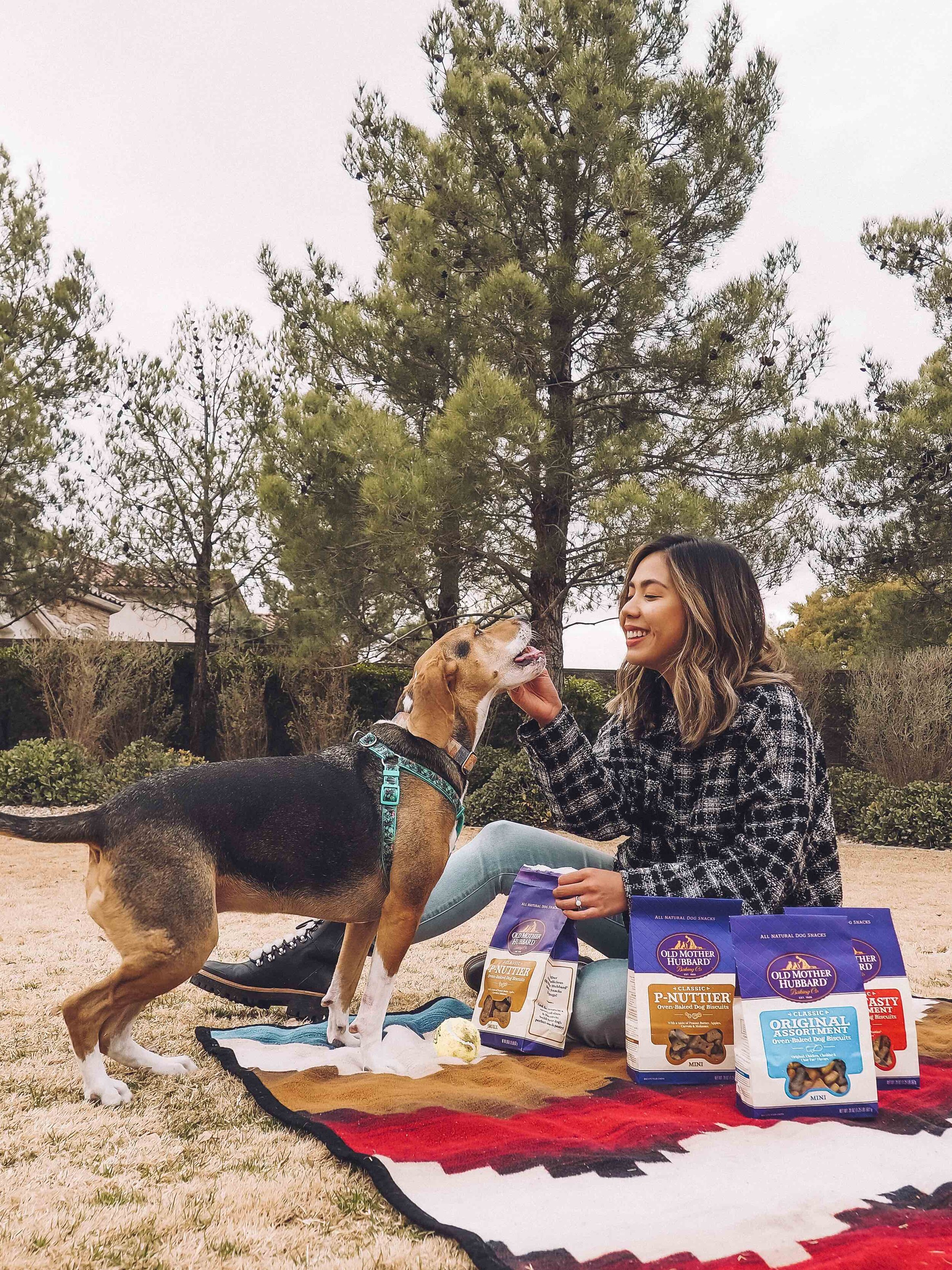 Mother hubbard dog treats deals